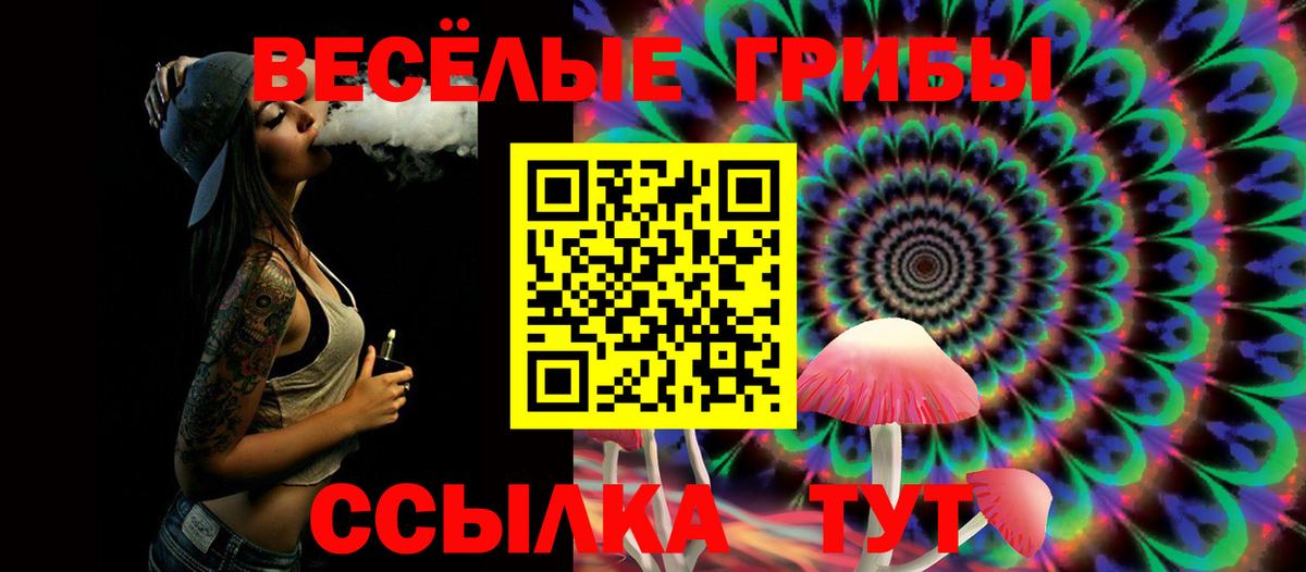 Псилоцибиновые грибы ЛСД  Вход с VPN  Кострома  Галлюциногенные грибы GOLDEN TEACHER 